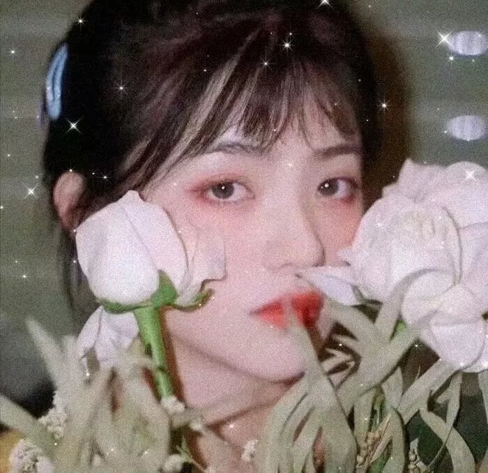 王牌二哈